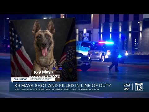 Officers mourn the loss of West Jordan K-9 Officer &#039;Maya&#039;