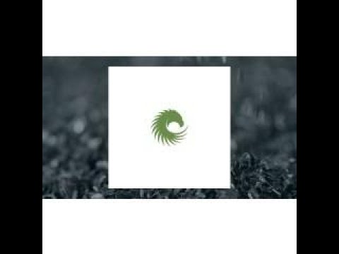 RecycLiCo Battery Materials (CVE:AMY) Stock Soars 33.3% - Investment Opportunity?