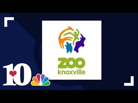 KPD: Man arrested after causing disturbance at Zoo Knoxville private event