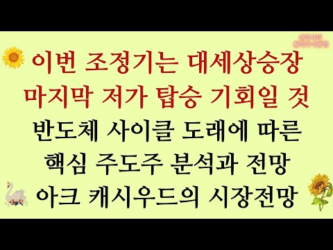 [21.3.9] 이번 조정기는 대세상승장 마지막 저가 탑승 기회일 것! 반도체 사이클 도래에 따른 핵심 주도주 분석과 전망, 아크 캐시우드의 시장전망