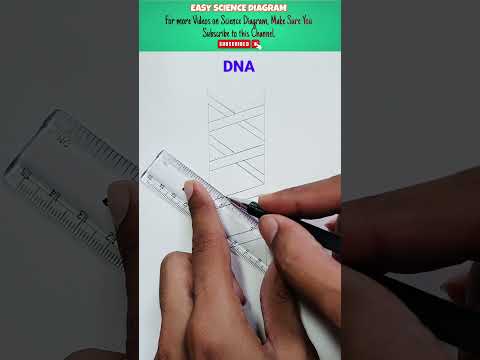 How to draw double DNA helix Diagram #DNA #helixdiagram #sciencediagram
